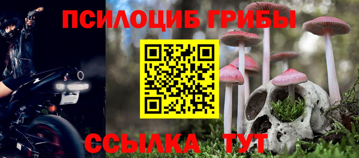 Галлюциногенные грибы прущие грибы  что такое   Саров  Вход с VPN  Галлюциногенные грибы прущие грибы 